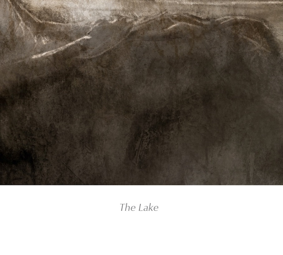 'The Lake' Original Art Poster (EU, UK)